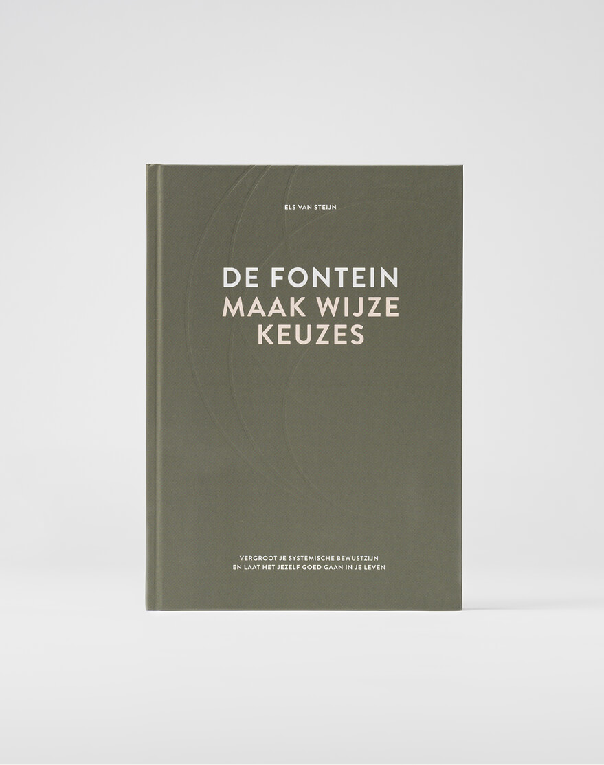 Fontein familie els van steijn maak wijze keuzes boek